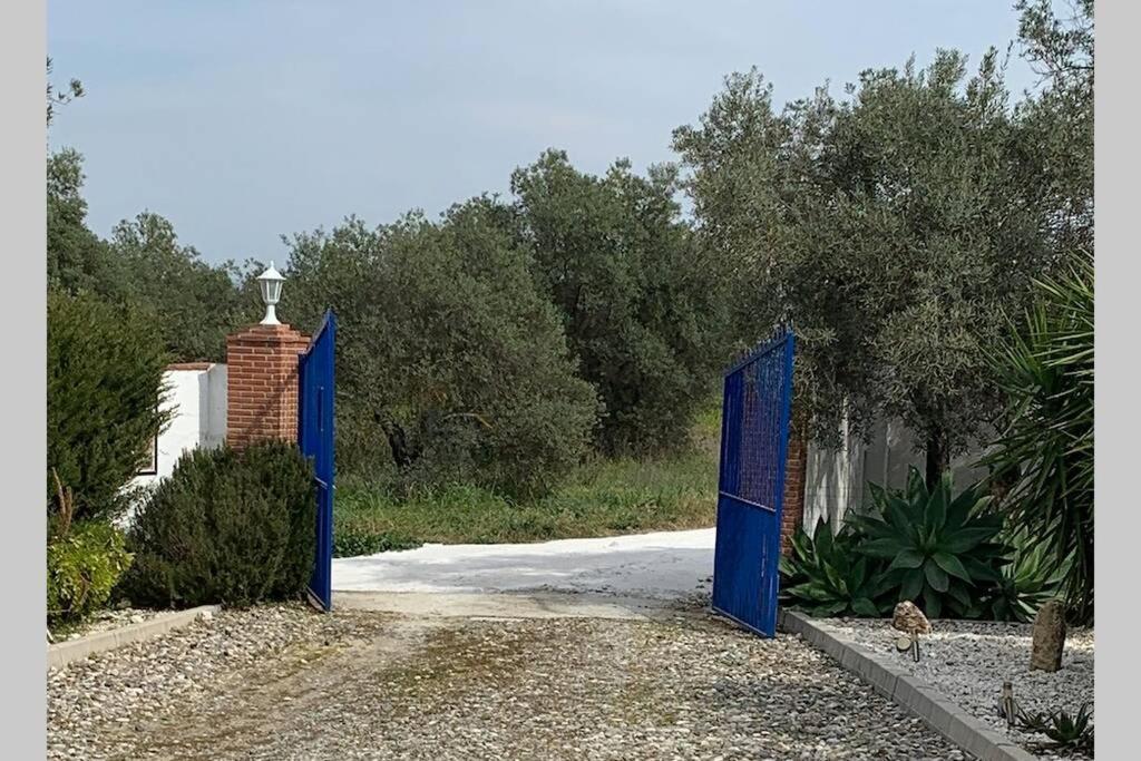 Finca Casa Mici Альхаурин-эль-Гранде Экстерьер фото