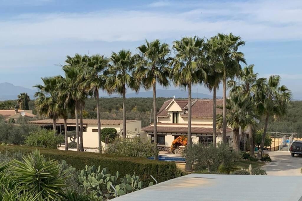 Finca Casa Mici Альхаурин-эль-Гранде Экстерьер фото